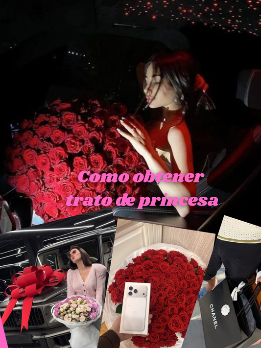 Como conseguir trato de princesa; Joyas, dinero, lujos y todo lo que desees